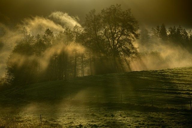 Kursfoto
