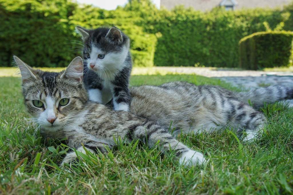 Kursfoto