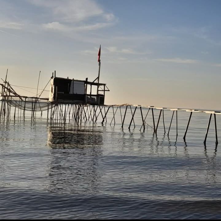 Kursfoto